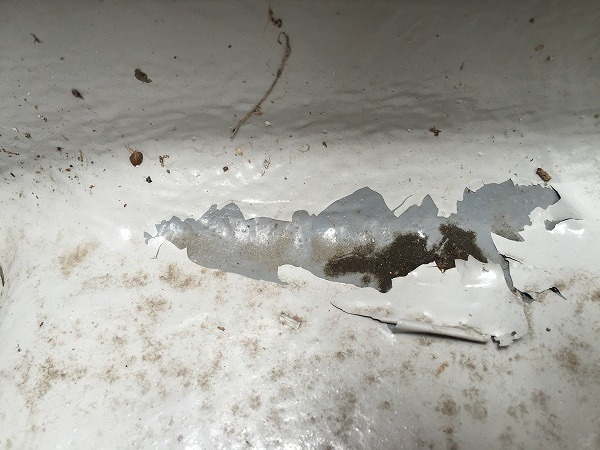 信頼のおける業者への依頼を！